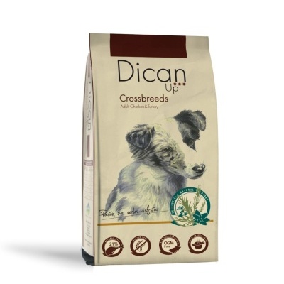 Dican Up Crossbreeds - Peru e Frango