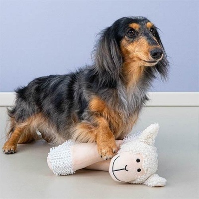 Peluches para Cães – Ovelha e Cavalo com Som Divertido