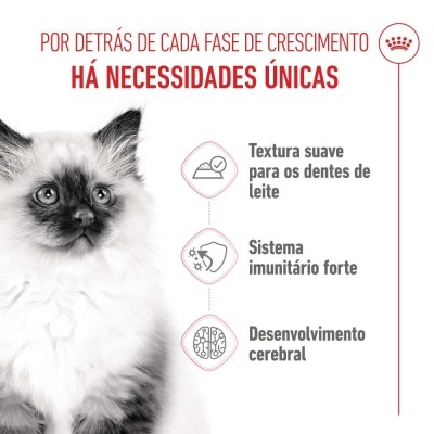 Royal Canin Kitten - Alimento em molho para gatinhos