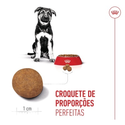 Royal Canin Puppy Maxi - Ração seca para cachorro de porte grande/gigantes
