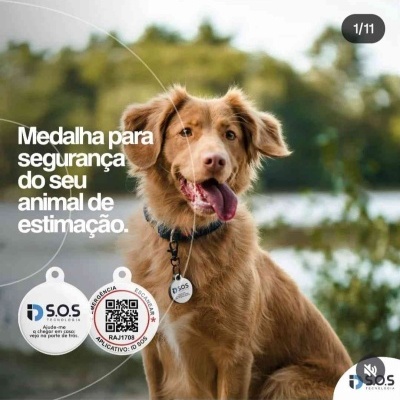 Medalha Inteligente ID S.O.S PET com QR Code