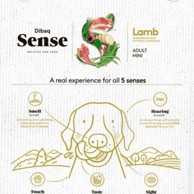 Dibaq Sense Borrego - Grain Free - Hipoalergénico - Mini