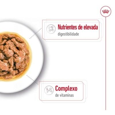 Royal Canin Mini Adult - Alimento em molho para cão adulto de porte pequeno/mini