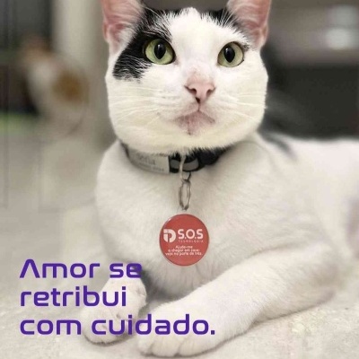 Medalha Inteligente ID S.O.S PET com QR Code