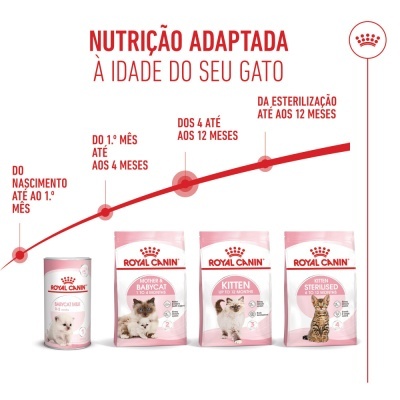 Royal Canin Kitten - Ração seca para gatinhos