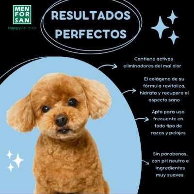 Champô Neutralizador de Odores para Cães – Fragrância Talco - 300ml