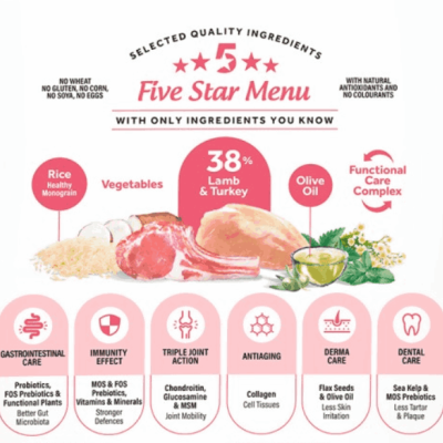 Dibaq Natural Moments 5 Star Mountain - Borrego e Peru - Hipoalergénica