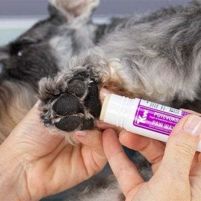 Stick Reparador para Almofadas Kw