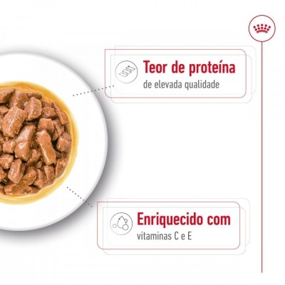 Royal Canin Medium Adult - Alimento em molho para cão adulto de porte médio