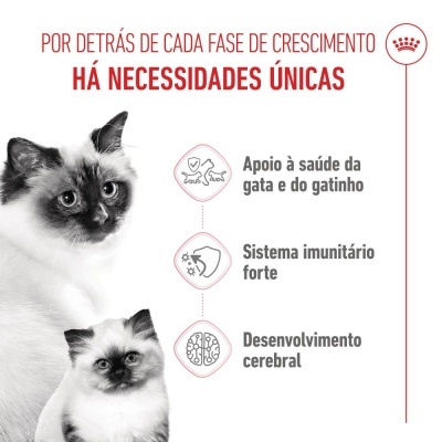 Royal Canin Mother & Babycat - Ração seca para gata gestante/lactante e gatinho recém-nascido