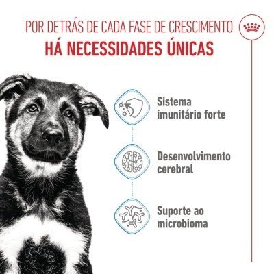 Royal Canin Puppy Maxi - Ração seca para cachorro de porte grande/gigantes