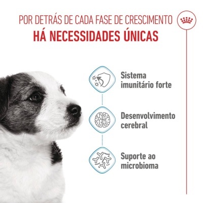 Royal Canin Puppy Mini - Ração seca para cachorro de porte pequeno/mini