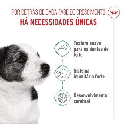 Royal Canin Puppy Mini - Alimento em molho para cachorro mini