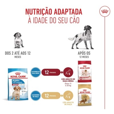 Royal Canin Puppy Medium - Ração seca para cachorro de porte médio/grande