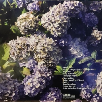 Camera Obscura Look To The East, Look To The West Galaxy Blue & White Vinyl Edition