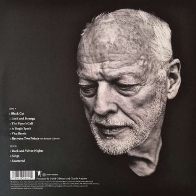 David Gilmour – Luck And Strange Vinyl, LP, Album, Stereo