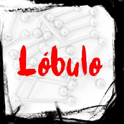 Lóbulo