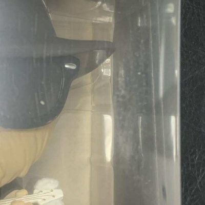 Funko Pop Rocks - ZZ Top - DUSTY HILL  FLOCKED #165