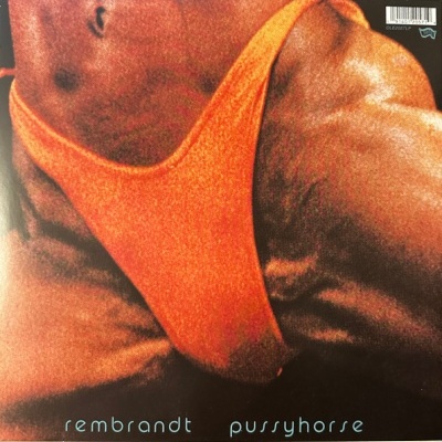 Butthole Surfers – Rembrandt Pussyhorse Vinyl, LP, Album, Reissue, Remastered