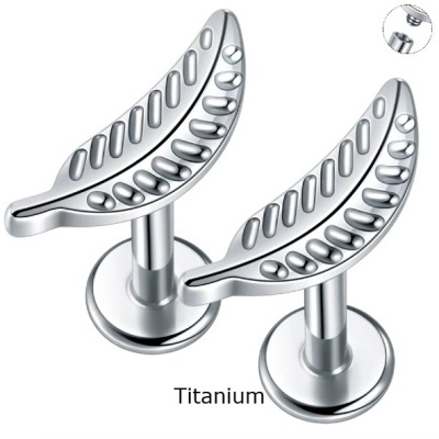 Joia labret de Titanio para helix, concha, com folha TC254