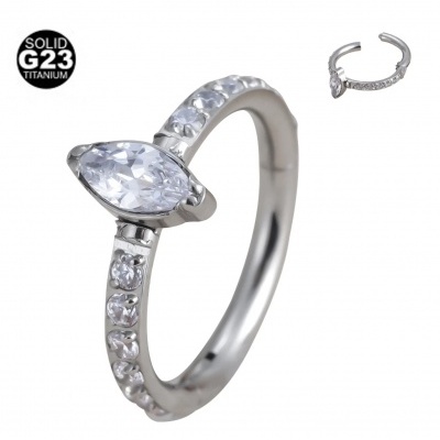 Argola de Titanio com cristal bago de arroz e mini cristais ao redor de metade da argola TRC100