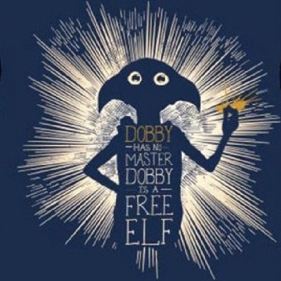 Harry Potter Dobby adult t-shirt
