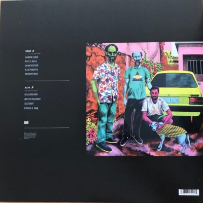 Built To Spill – When The Wind Forgets Your Name -Vinyl, LP, Album, Limited Edition, Loser Edition, colored