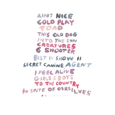 Viagra Boys – Welfare Jazz Deluxe Vinyl, LP, Album + CD, Mixed