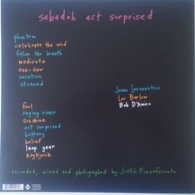 Sebadoh – Act Surprised - LP, Album, White - Vinil