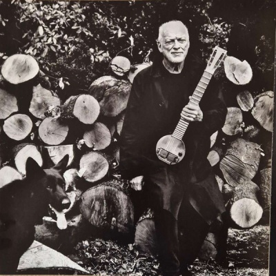 David Gilmour – Luck And Strange Vinyl, LP, Album, Stereo