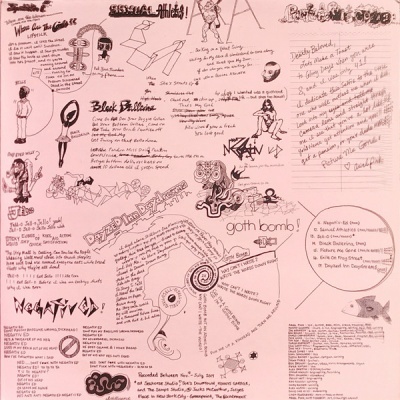 Ariel Pink – Pom Pom 2x vinyl LP Album