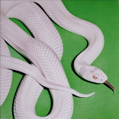 Deftones – Private Music Vinyl, LP, Album