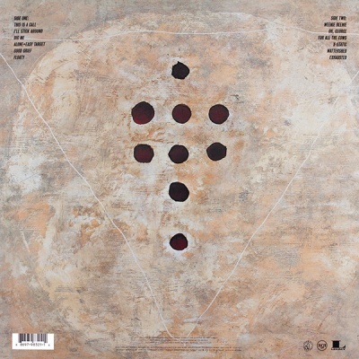 Foo Fighters – Foo Fighters Vinyl, LP, Album, Reissue