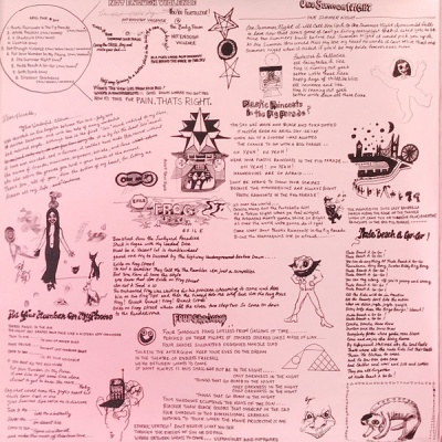 Ariel Pink – Pom Pom 2x vinyl LP Album