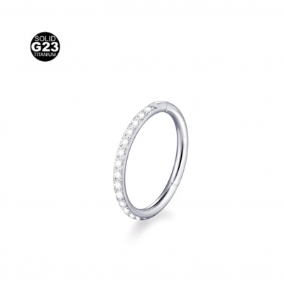 Argola de segmento em Titânio G23 com delicadas zircónias para hélix, concha, daith  RHT07