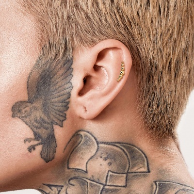 Jóia (labret) para piercings diversos em Titânio com topo 7 micro bolas TIL38