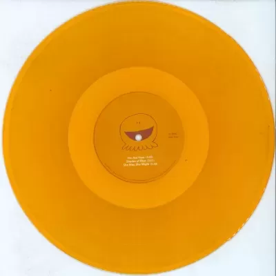 Yo La Tengo – There's A Riot Going On 2 x Vinyl, LP, Album, Limited Edition, Orange