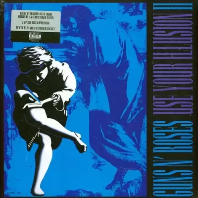 Guns N' Roses – Use Your Illusion II 2 x Vinyl, LP, Album,  180g