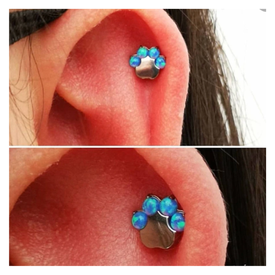 Joia labret em Titânio com patinha de gato de 4 opalas TLP01