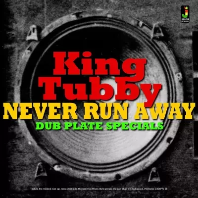 King Tubby – Never Run Away - Dub Plate Specials Vinyl, LP