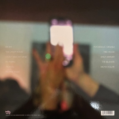 Kim Gordon – The Collective Vinyl, LP, Album, Deluxe E. Stereo, Silver Vinyl, 7", Silver Kim Gordon – The Collective Vinyl, LP, Album, Deluxe E. Stereo, Silver Vinyl, 7", Silver