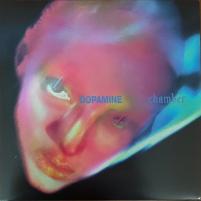 Fontaines D.C. – Dopamine Chamber Vinyl, LP, Album, Limited Edition, Blue Marble