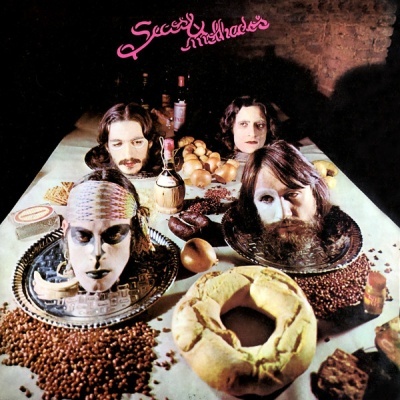 Secos & Molhados – Secos & Molhados Vinyl LP Album