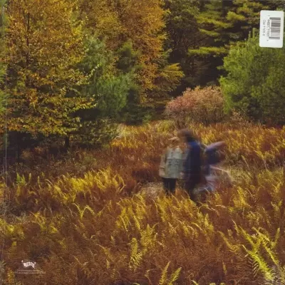 Yo La Tengo – There's A Riot Going On 2 x Vinyl, LP, Album, Limited Edition, Orange