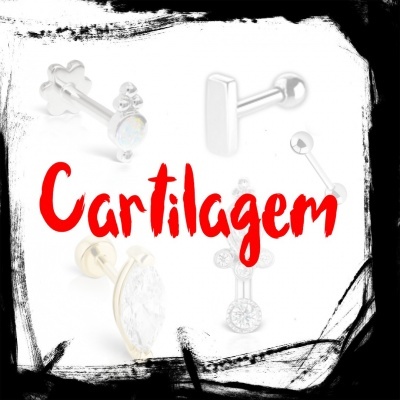 Cartilagem/orelha