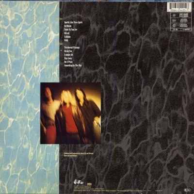 Nirvana – Nevermind Vinyl, LP, Album 180g