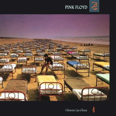Pink Floyd – A Momentary Lapse Of Reason Vinyl, LP, Album,180 Gram, Gatefold