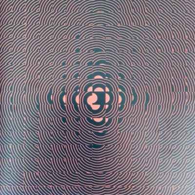 Interpol – The Other Side Of Make-Believe - LP, Album, Limited Edition, Red - Vinil