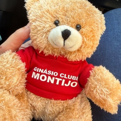 Urso personalizado