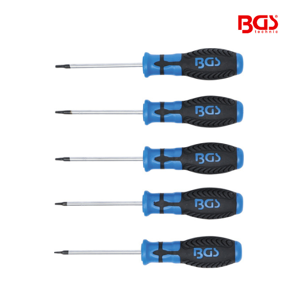 Jogo Torx com perfuração | T6 - T10 | 5 peças